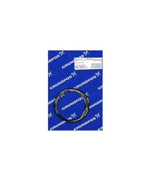 Grundfos Spares O-Ring EPDM D154X4